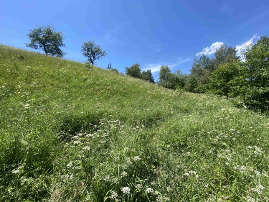 Pozemek o velikosti 9140m2, Štěpanice