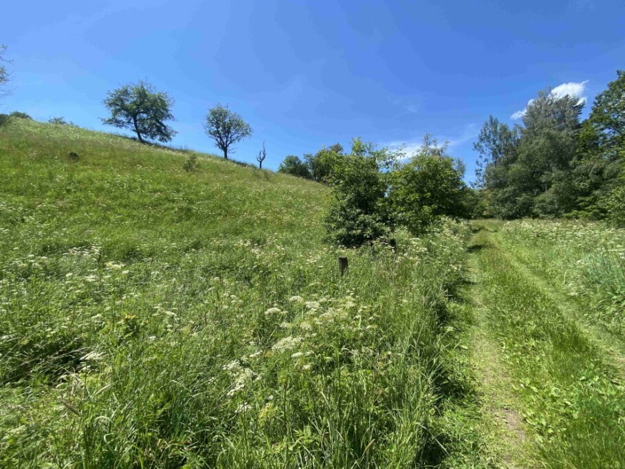 Pozemek o velikosti 9140m2, Štěpanice