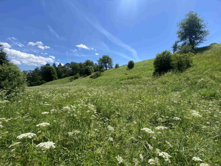 Pozemek o velikosti 9140m2, Štěpanice