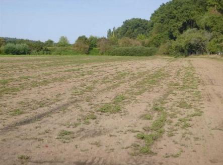 Prodej - pozemek, zemědělská půda, 3 515 m²