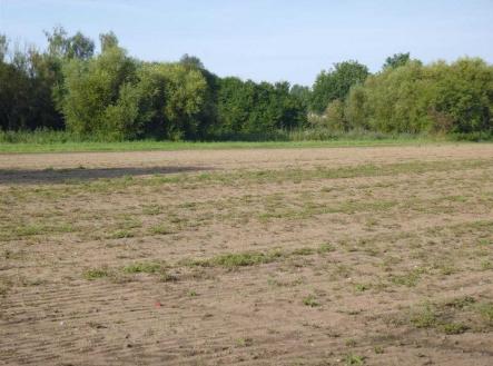 Prodej - pozemek, zemědělská půda, 3 515 m²