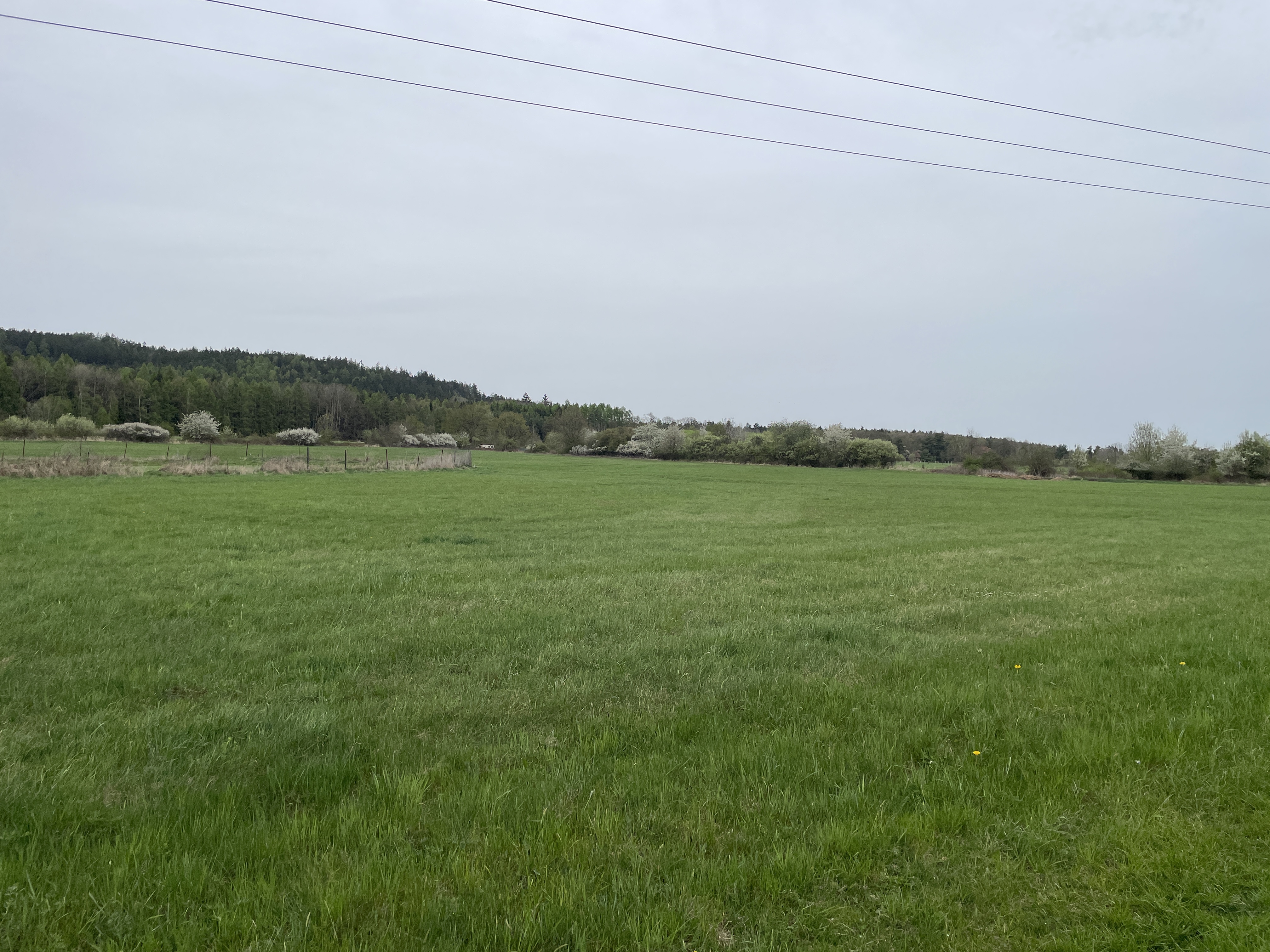 Pozemek LV 252, trvalý travní porost v obci Běštín, okres Beroun