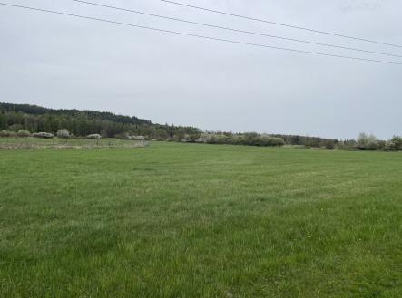 Prodej - pozemek, trvalý travní porost, 3 119 m²