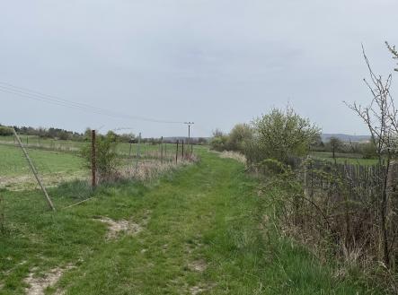 Prodej - pozemek, trvalý travní porost, 3 119 m²