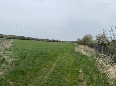 Prodej - pozemek, trvalý travní porost, 3 119 m²
