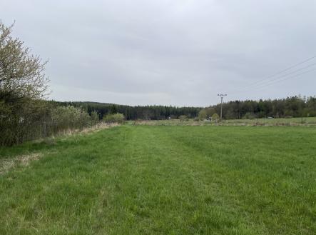 Prodej - pozemek, trvalý travní porost, 3 119 m²