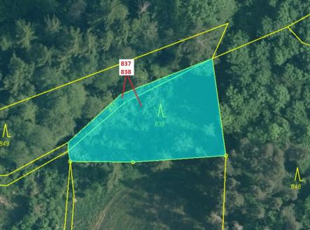Prodej - pozemek, les, 999 m²