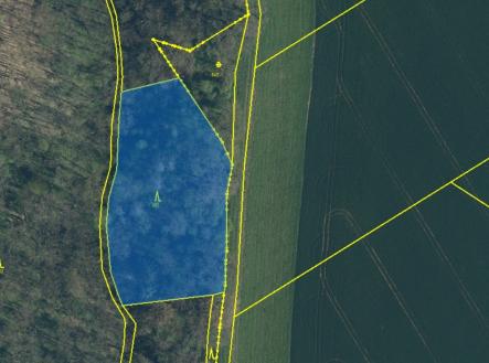 Prodej - pozemek, les, 3 833 m²