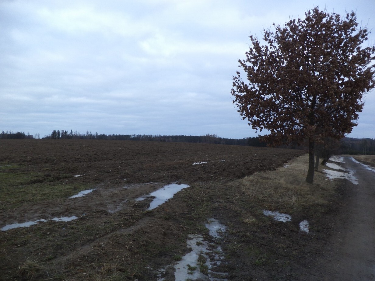 Pozemek o velikosti 1469m2, Mezilesí
