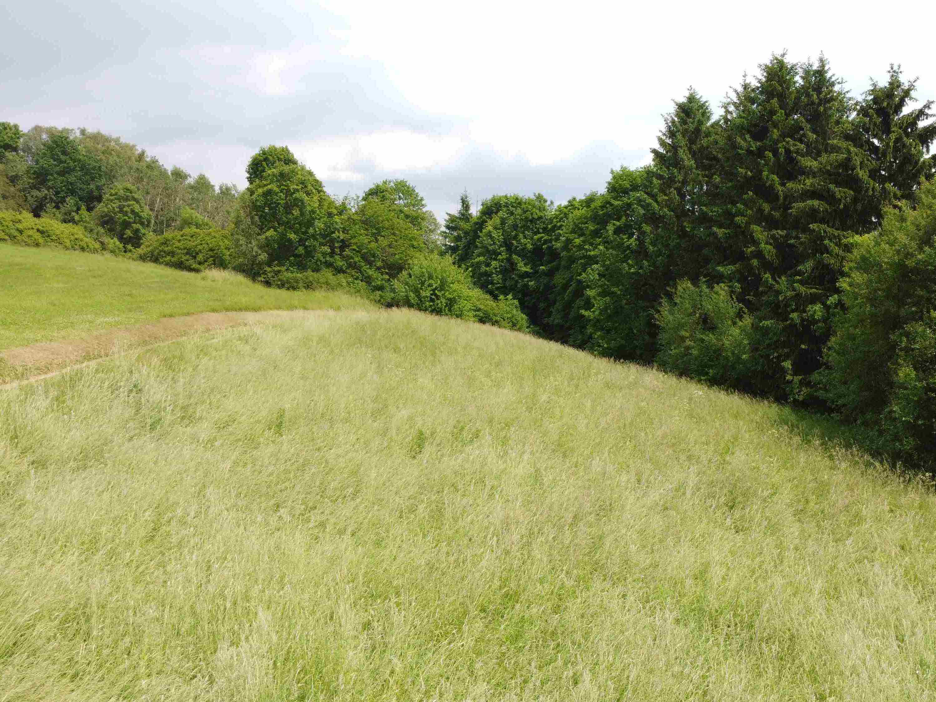 Stavební pozemek o velikosti 1701m2, Chotěvice