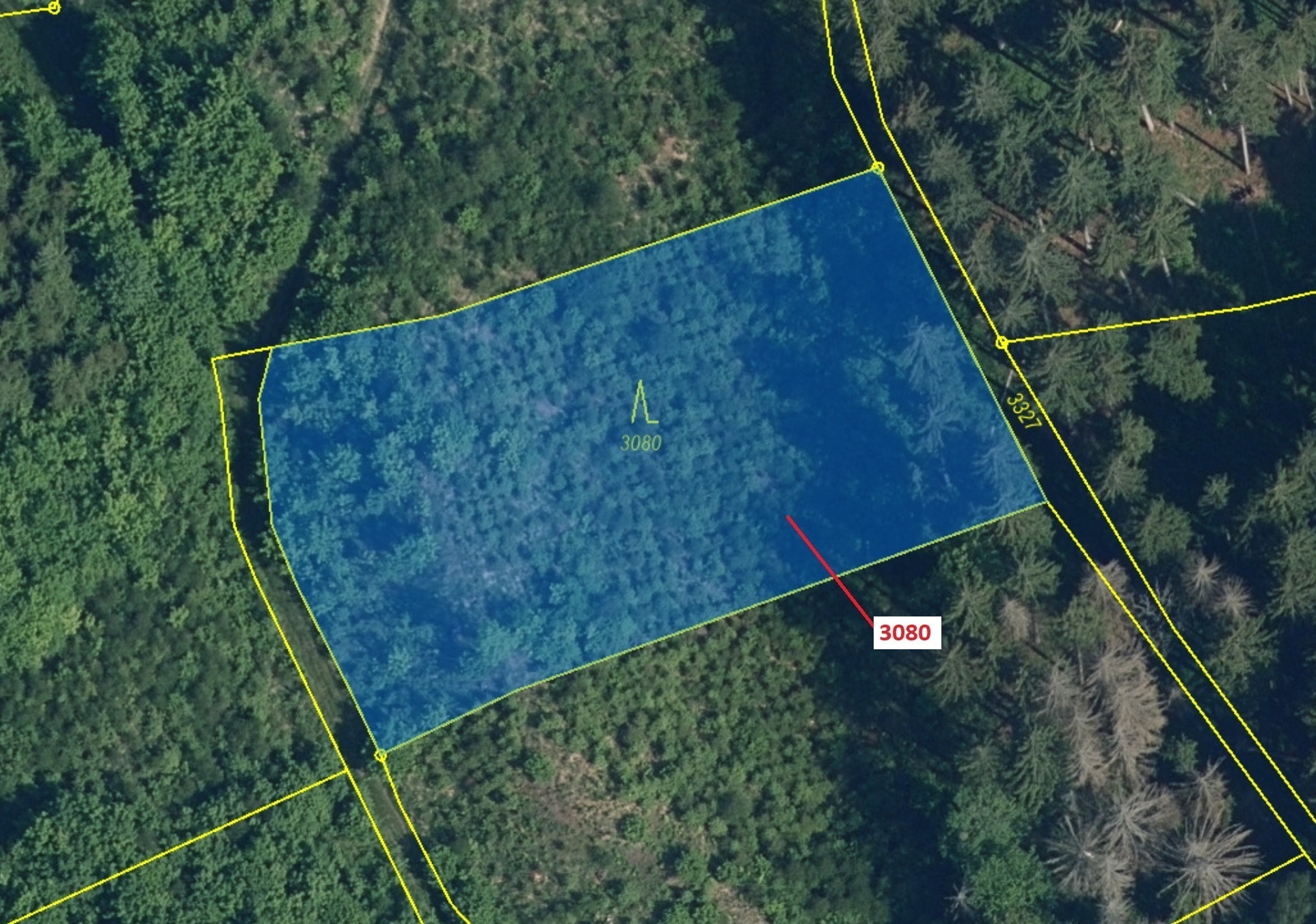 Lesní pozemek o výměře 2540 m2, podíl 1/1, k.ú. Benešov u Semil, okres Semily