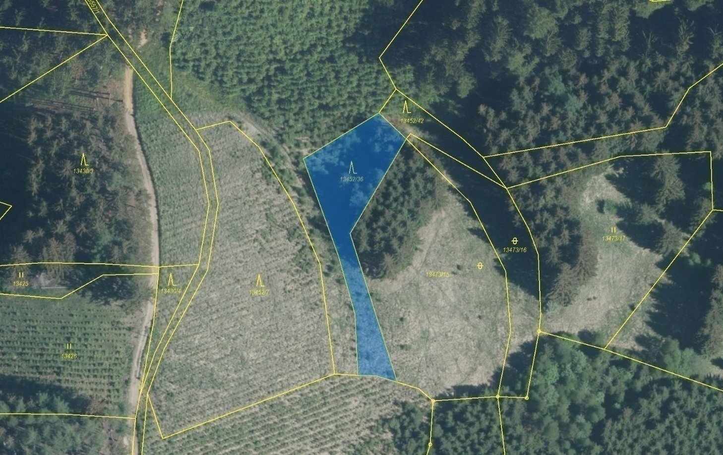 Lesní pozemek o výměře 1217 m2, podíl 1/1, k.ú. Hovězí, okres Vsetín