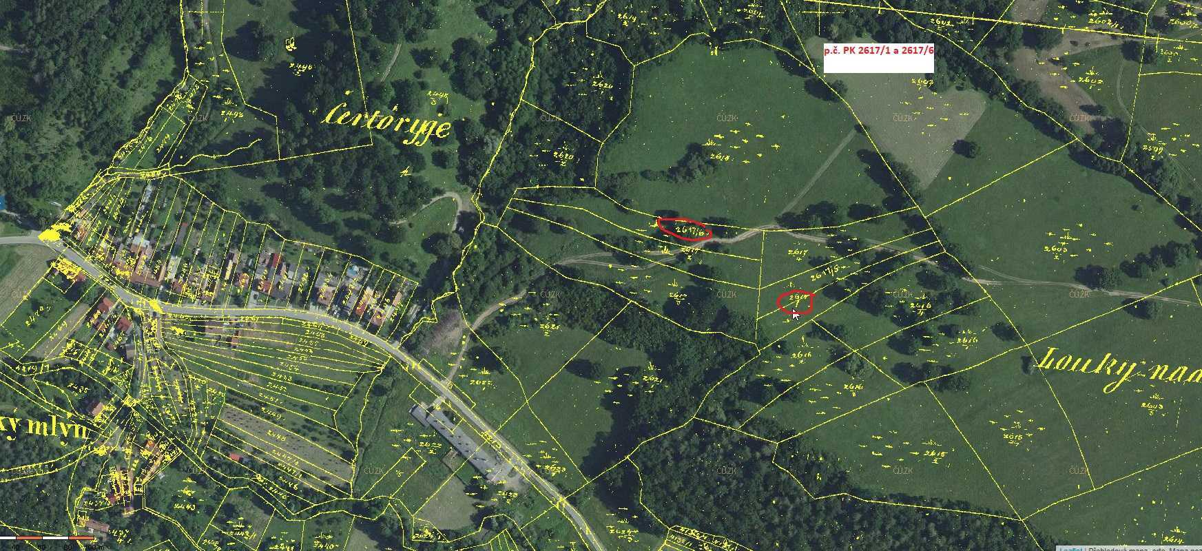 Pozemky o velikosti 6527,5 m2, Nová Lhota, podíl 1/4