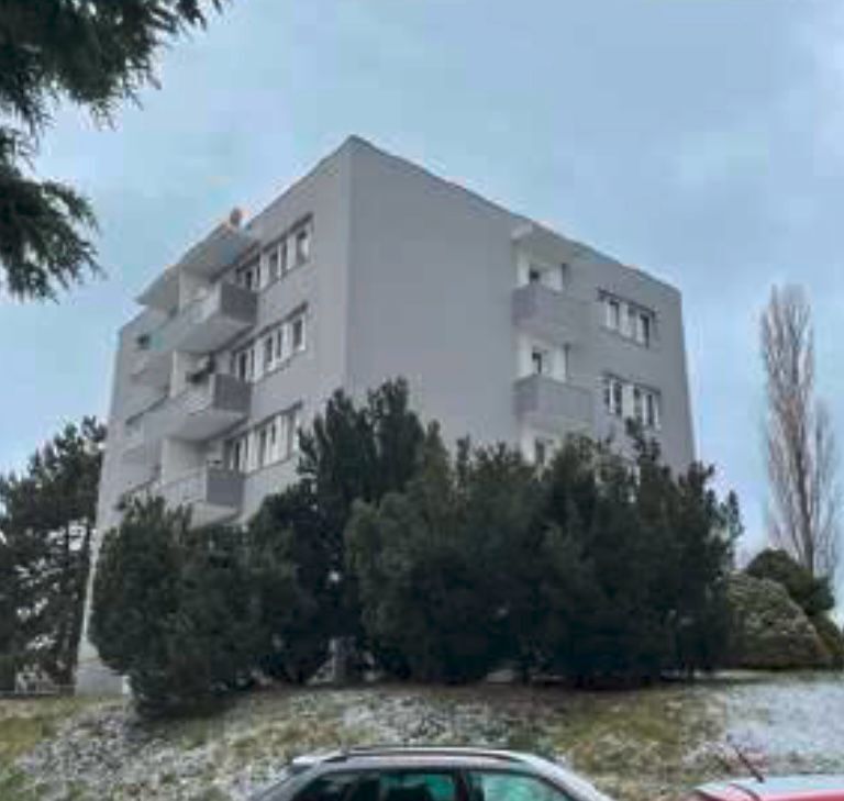 Byt 4+1, Kosmonosy