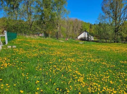 Prodej - pozemek pro bydlení, 4 505 m²