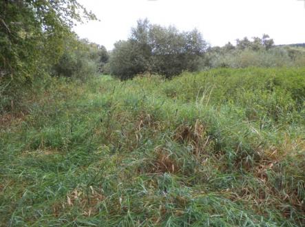 Prodej - pozemek, ostatní, 2 214 m²