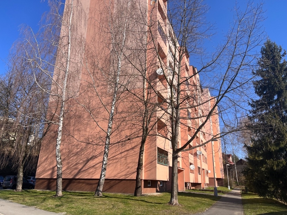 Dražba bytu 2+1 (lodžie a sklep) na adrese Horymírova 368, Frýdek-Místek