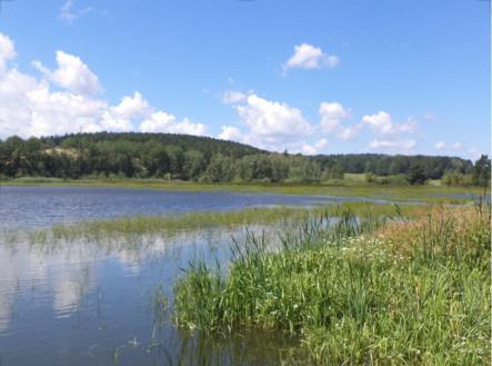 Prodej - pozemek, ostatní, 480 m²