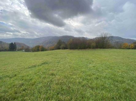 Prodej - pozemek, trvalý travní porost, 4 431 m²