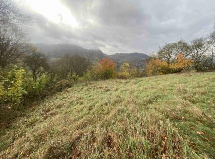 Prodej - pozemek, trvalý travní porost, 4 431 m²