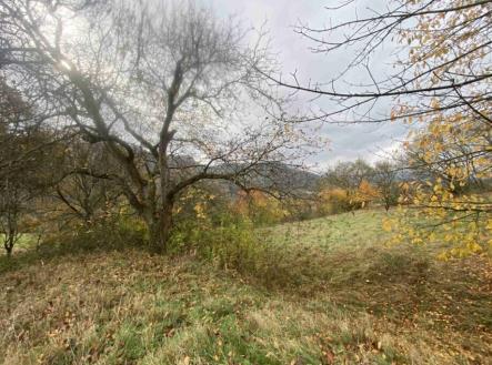 Prodej - pozemek, trvalý travní porost, 4 431 m²