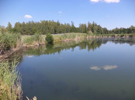 Prodej - pozemek, ostatní, 1 274 m²