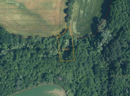 Prodej - pozemek, trvalý travní porost, 4 351 m²