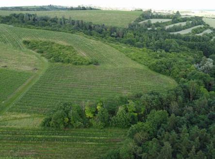 Prodej - pozemek, trvalý travní porost, 4 351 m²
