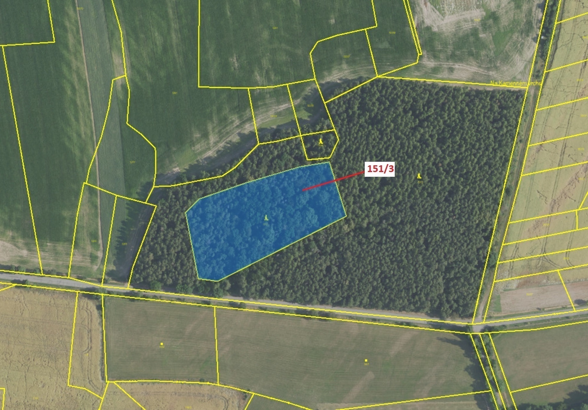 Lesní pozemek o výměře 9 307 m2, podíl 1/1, k.ú. Buková u Příbramě, okres Příbram