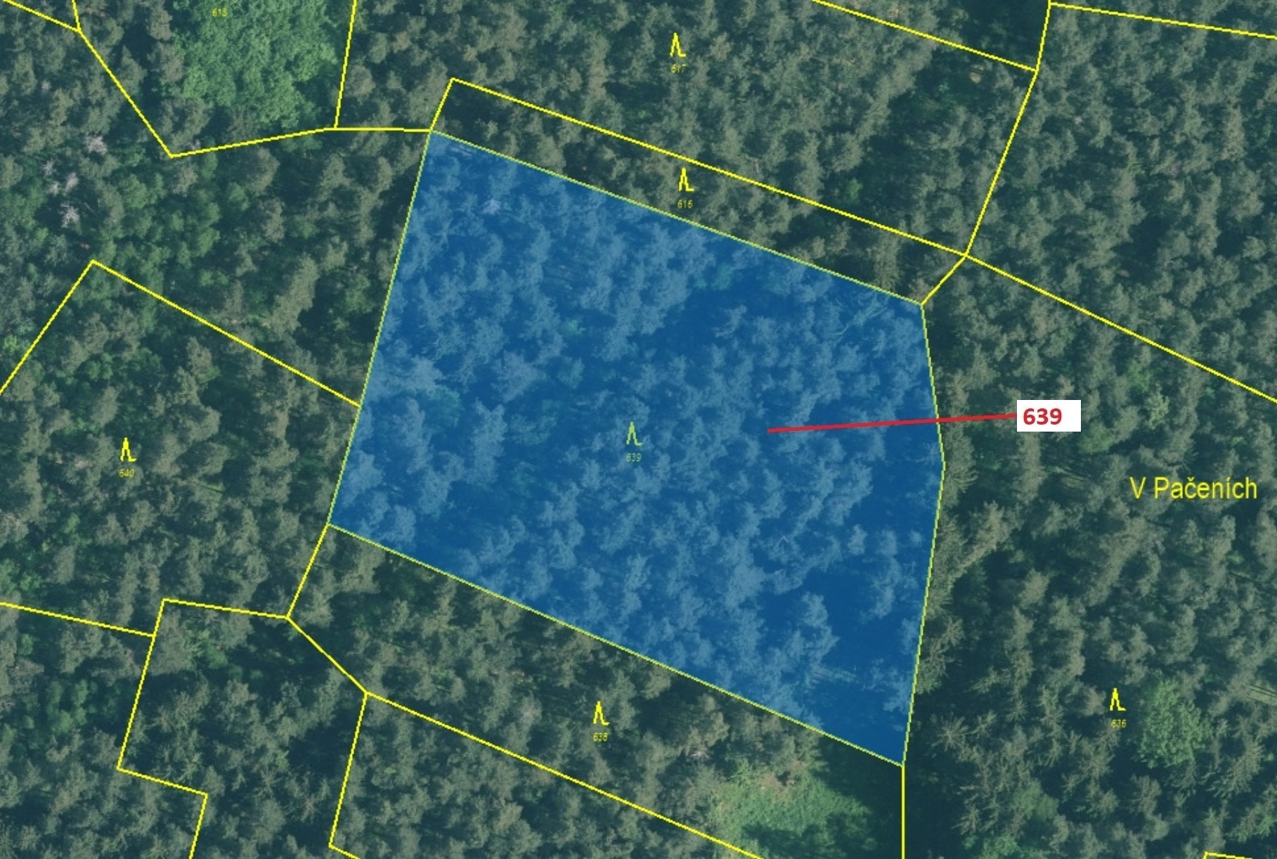 Lesní pozemek o výměře 8 912 m2, podíl 1/1, k.ú. Kuřimany, okres Strakonice