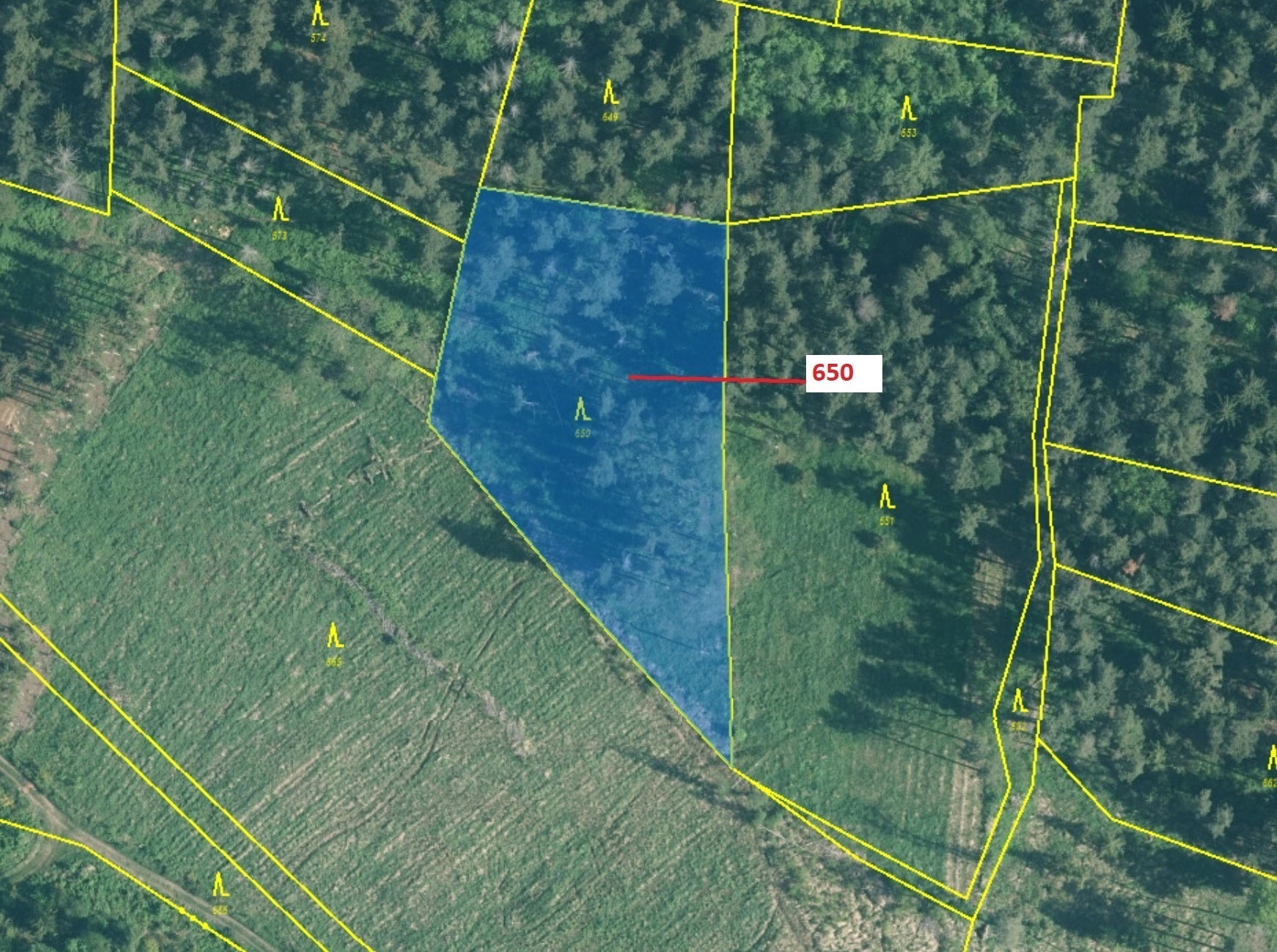 Lesní pozemek o výměře 3 688 m2, podíl 1/1, k.ú. Kuřimany, okres Strakonice