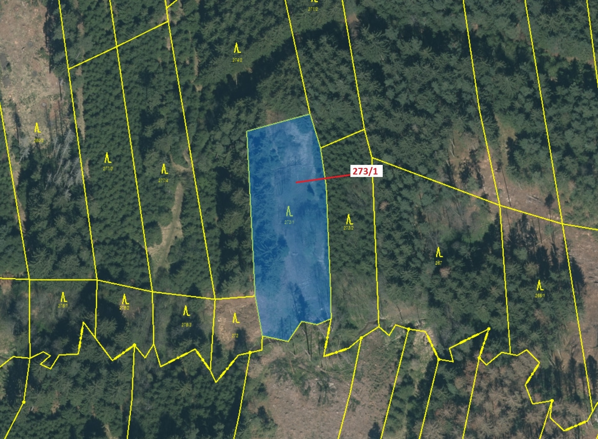 Lesní pozemek o výměře 2 941 m2, podíl 1/1, k.ú. Tříklasovice, okres Tábor