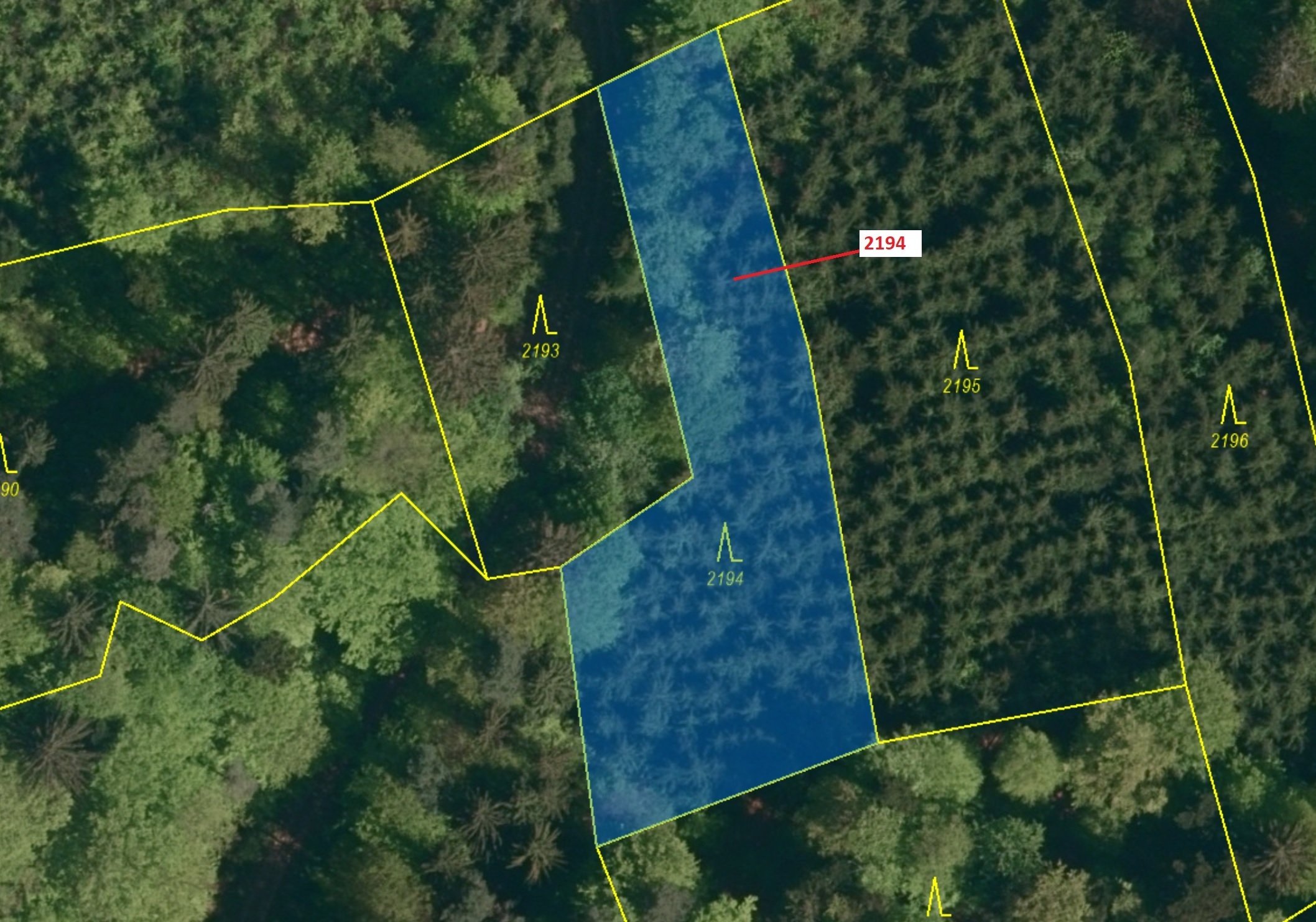 Lesní pozemek o výměře 1 662 m2, podíl 1/1, k.ú. Valašská Senice, okres Vsetín