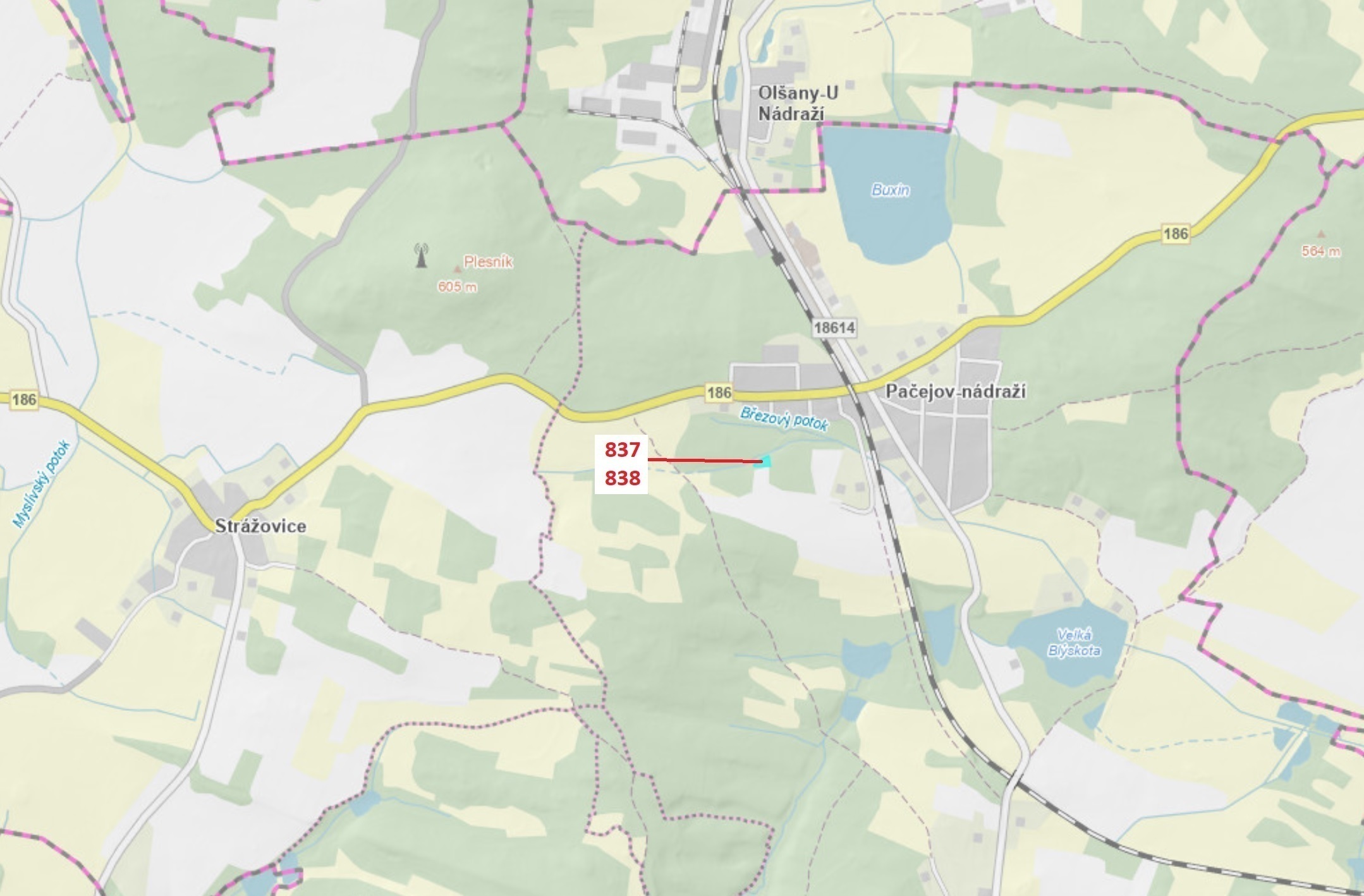 Lesní pozemek a ostatní plocha o výměře 999 m2, podíl 1/1, k.ú. Pačejov, okres Klatovy
