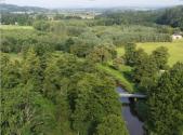 Prodej - pozemek, trvalý travní porost, 1 315 m²