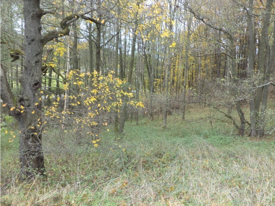Pozemek o velikosti 2463m2, Dlouhá Stropnice