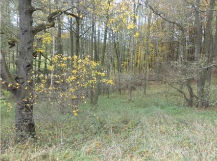 Prodej - pozemek, ostatní, 2 463 m²