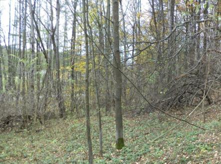 Prodej - pozemek, ostatní, 2 463 m²
