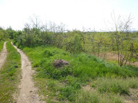 Prodej - pozemek, zemědělská půda, 1 582 m²