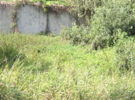Prodej - pozemek, trvalý travní porost, 828 m²