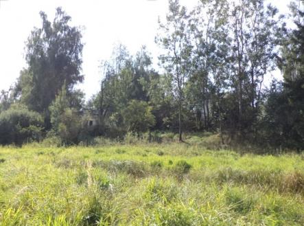 Prodej - pozemek, trvalý travní porost, 828 m²