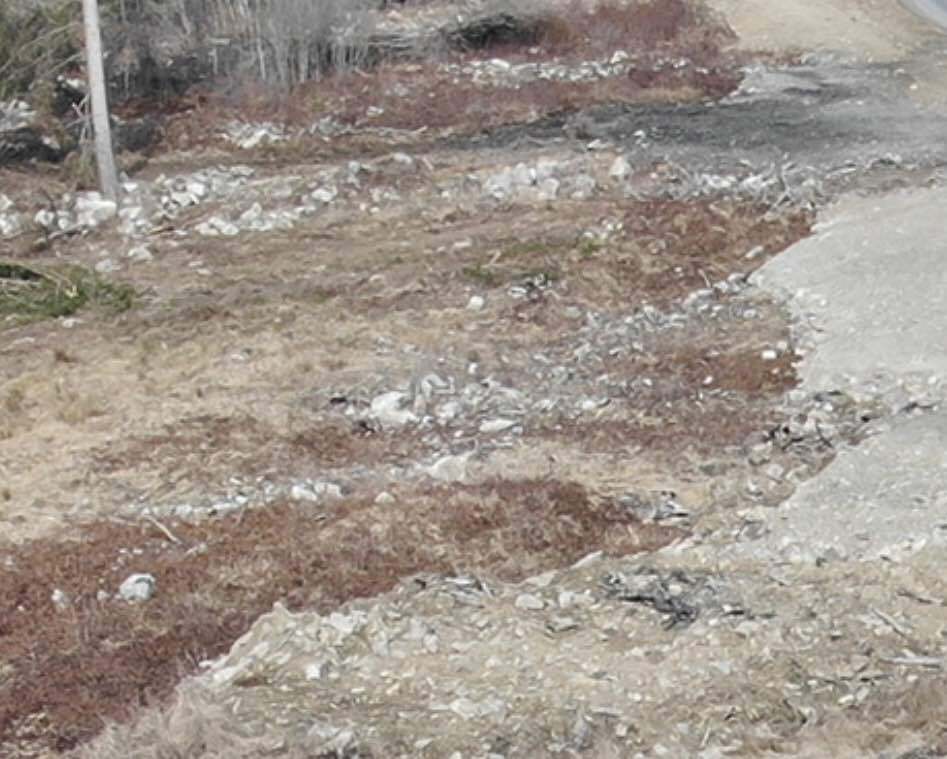 Pozemky o velikosti 1802m2, Loučovice, opakovaná dražba
