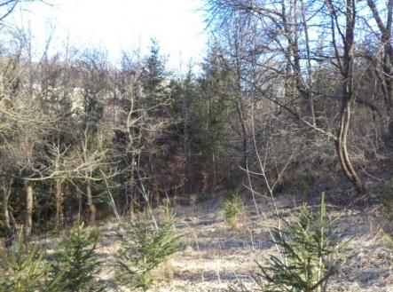 Prodej - pozemek, trvalý travní porost, 3 115 m²