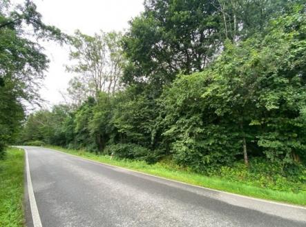 Prodej - pozemek, trvalý travní porost, 1 406 m²