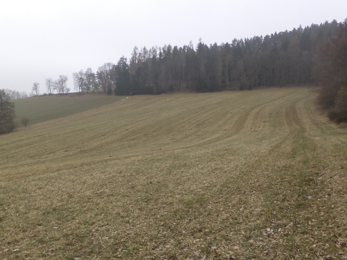 Pozemek o velikosti 22738m2, Bořkovice
