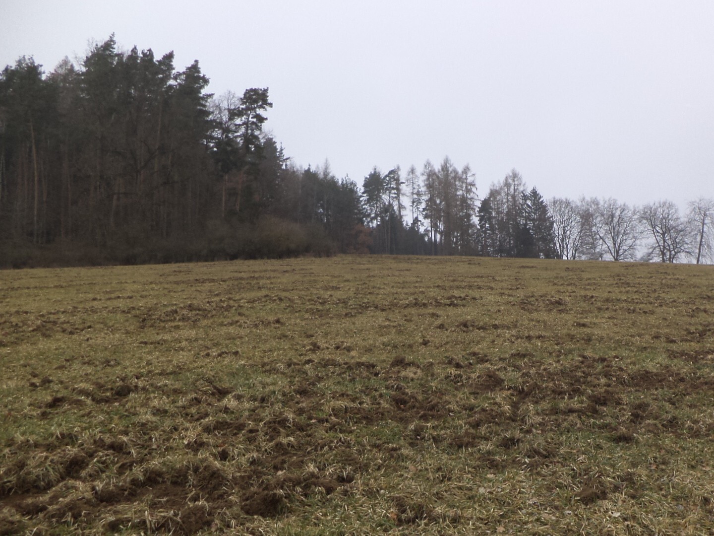 Pozemek o velikosti 22738m2, Bořkovice