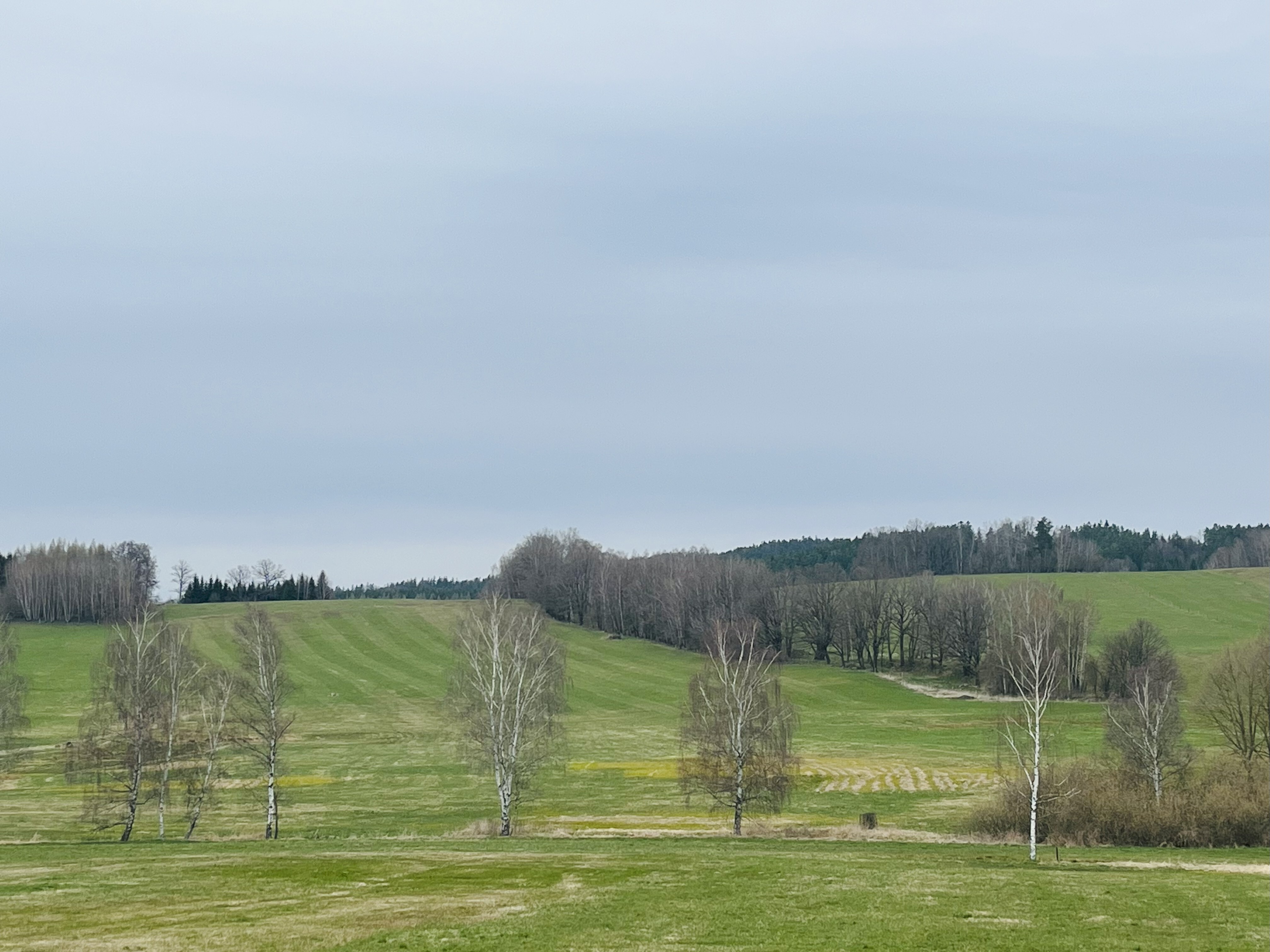 Aukce zemědělských pozemků - Benešov nad Černou - Dluhoště