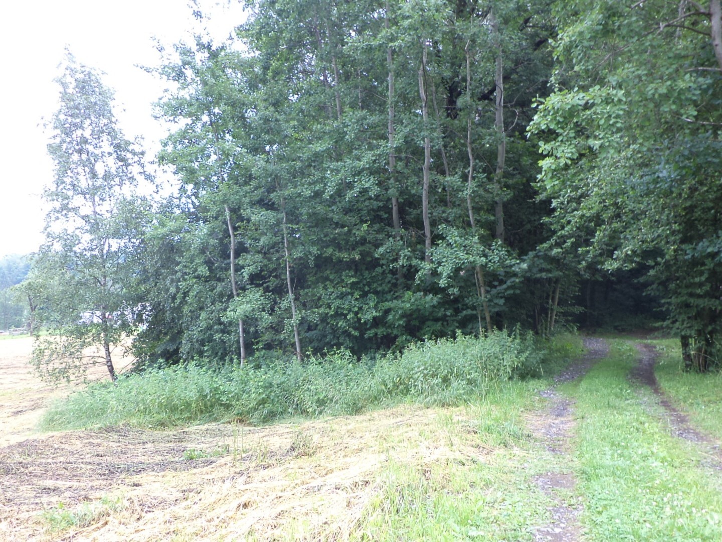 Pozemek o velikosti 17488m2, Šenov u Ostravy