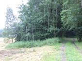 Prodej - pozemek, trvalý travní porost, 17 488 m²