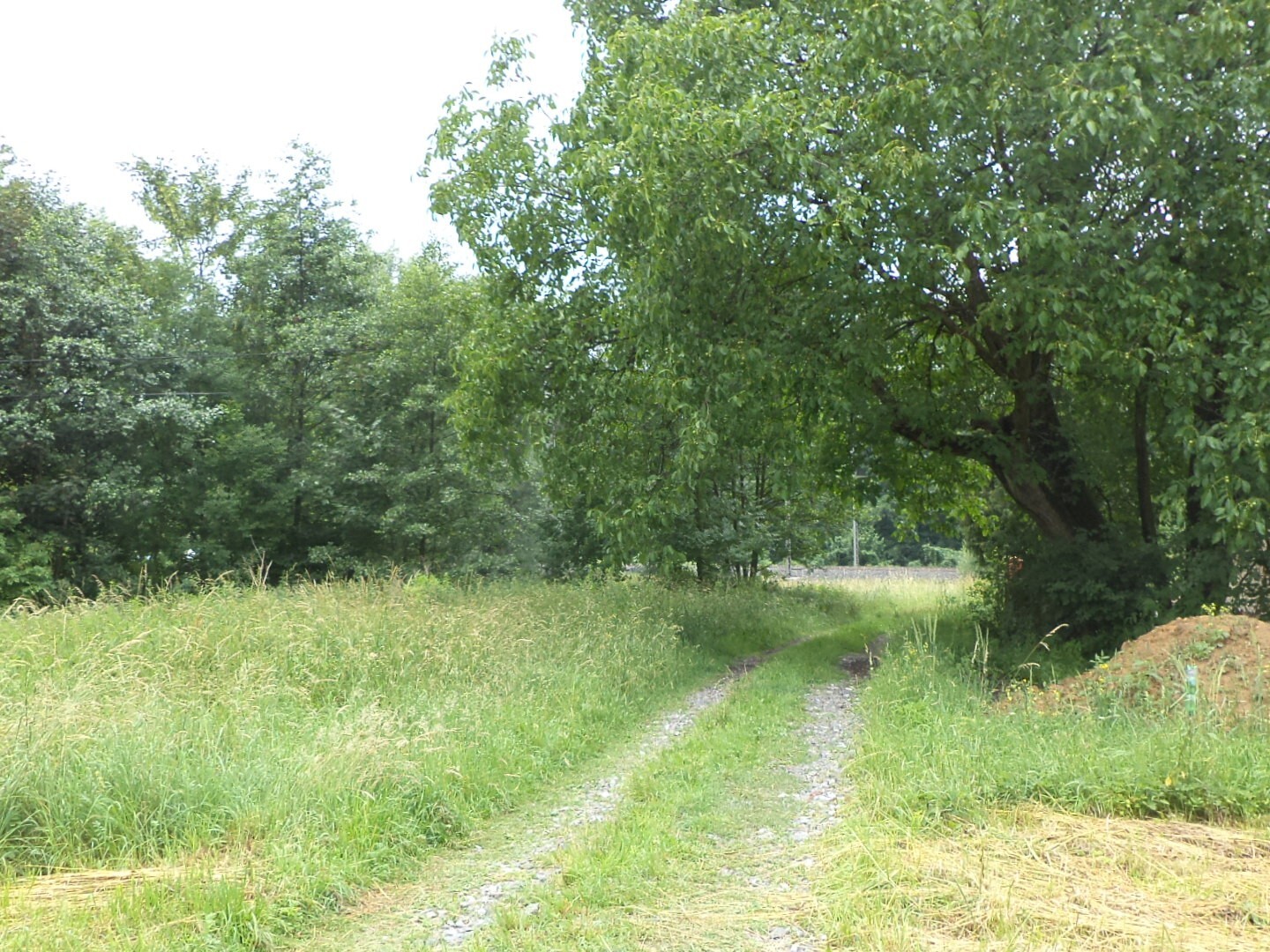 Pozemek o velikosti 17488m2, Šenov u Ostravy